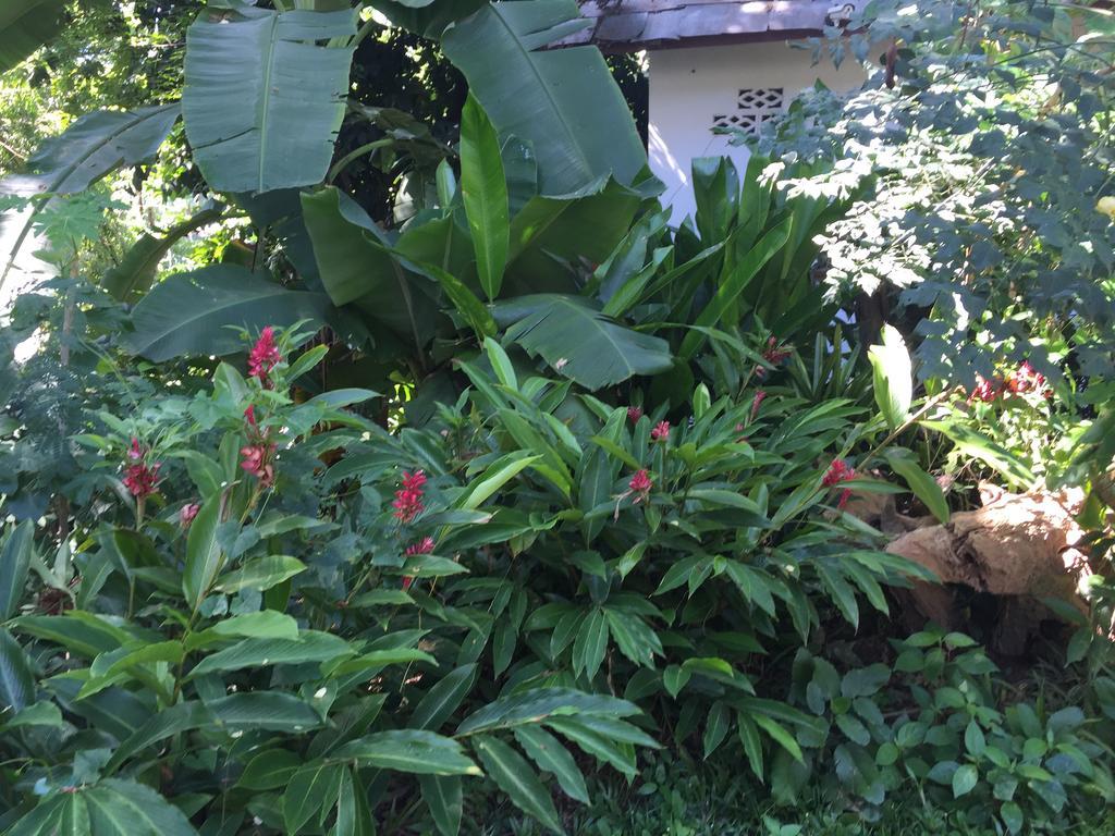 Ban Vivanh Chambres D'Hotes Luang Prabang Bagian luar foto